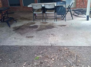 Leaf Removal by Brian Orozco for Gary G. in Plano, TX