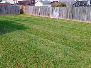 Justin S.'s Lawn Service service result