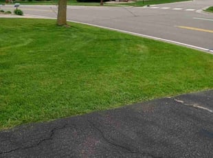 Christian D.'s Lawn Mowing Service service result