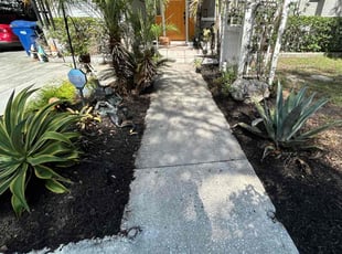Mulching by Feliciano Perez for Mack H. in Tampa, FL