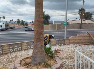 Cleanups by Frankie Candate for Linnea P. in Las Vegas, NV