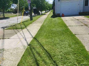 Bonita J.'s Lawn Maintenance service result