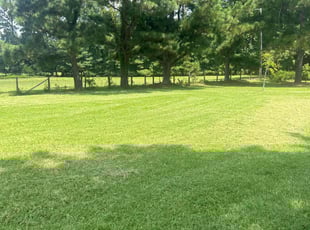 Douglas M.'s Lawn Service service result