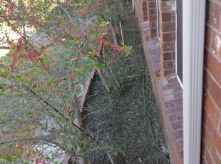 Weeding by Ty Pacatte for Arthur Y. in Grand Prairie, TX