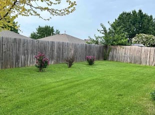 Imran M.'s Yard Cutting service result