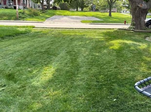 Diann B.'s Lawn Mowing Service service result