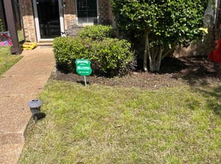 Bush Trimming by James Franks for Kimberly B. in Cordova, TN