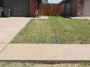 Leona E.'s Lawn Mowing service result