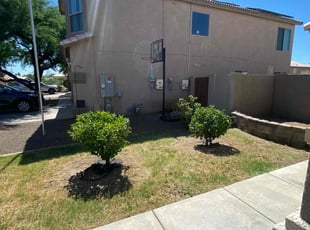 Bush Trimming by Brian Gibson for Juanakee H. in Peoria, AZ