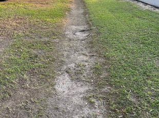 Cleanups by Brandon Johnson for Charles S. in Zachary, LA