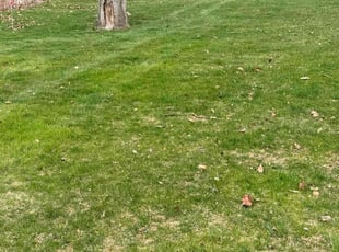 Cleanups by Ryan Sacks for Johnny H. in Bernville, PA