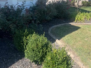 Weeding by Tywuan Williams for Tyler B. in Indianapolis, IN