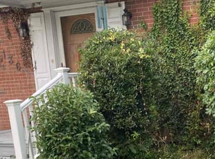 Bush Trimming by David Wilson for Karen M. in Norfolk, VA