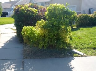 Cleanups by Catalina Herman for Ien L. in Midvale, UT