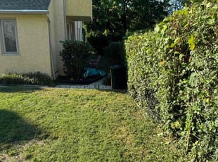 Bush Trimming by Norberto Soto for Mike B. in Bala Cynwyd, PA