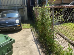 Bush Trimming by Melford Franklin for JERUSALEM T. in Baltimore, MD