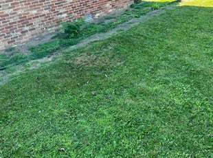 Leaf Removal by Benjamin Hicks for Julieta O. in Carmel, IN