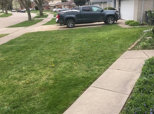 Cleanups by Dalton Thomas for Penny S. in Pontiac, MI