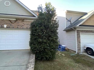 Bush Trimming by Terrance Flowers for Derrick M. in Charlotte, NC