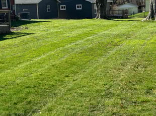 Bev C.'s Lawn Mowing service result