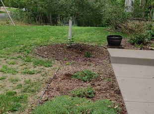Cleanups by Mia St John for Nathan S. in Saint Paul, MN