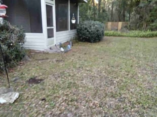 Bush Trimming by Christopher Harper for Logan S. in Gainesville, FL