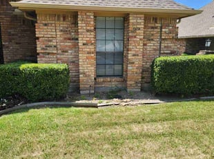 Bush Trimming by Corsandra Phelps for Christopher C. in DeSoto, TX