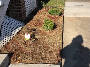 Weeding by Aaron Kinchen for Janice F. in Richmond, VA