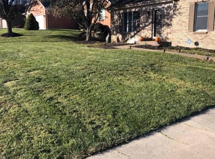 Charles A.'s Lawn Mowing service result