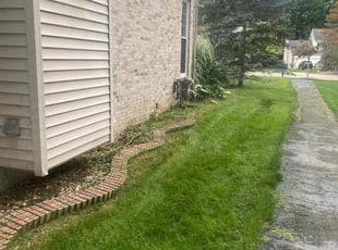 Leaf Removal by Robert Cain for Sindhu S. in South Lyon, MI