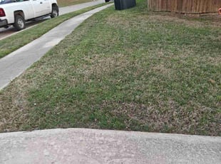 Leaf Removal by Juan Sanchez-Valdez for Ryan B. in Euless, TX