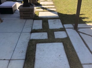 Landscaping by Saul Sahagun for sam h. in Elk Grove, CA