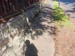 Cleanups by Brandon Hill for Robert M. in Portland, OR