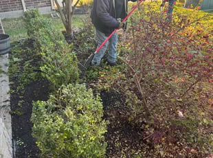 Bush Trimming by Joe Gamache for Chad U. in Kingwood, TX