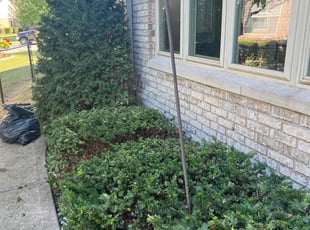 Bush Trimming by Eric Hubbard for Lauren S. in Greenwood, IN