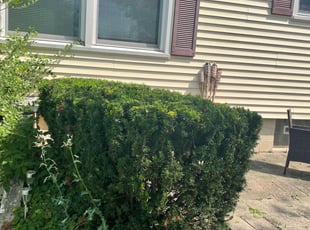 Bush Trimming by Leon Slone for Emily O. in Grand Rapids, MI