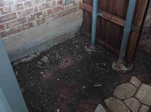 Leaf Removal by Clinton Lee for Michael M. in Fort Worth, TX