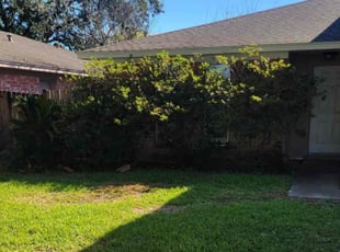 Bush Trimming by Yennifer Campos for Justin C. in League City, TX