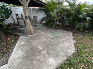 Rena L.'s Leaf Removal service result