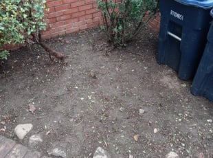 Cleanups by Eustace O Rutherford for Jessie Z. in Washington, DC