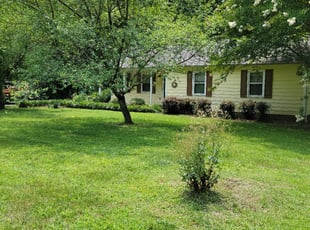 Bush Trimming by James Steele for Jeanette b. in Waxhaw, NC
