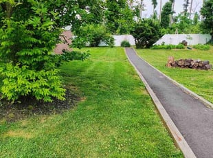 Greg S.'s Lawn Mowing Service service result