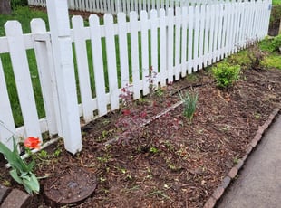 Weeding by Antonio Vitale for Jeff K. in Denver, CO