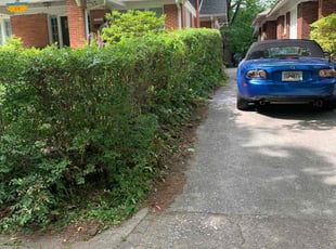 Bush Trimming by Brandon Cummings for Rick B. in Atlanta, GA