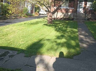 Rebecca A.'s Lawn Care service result