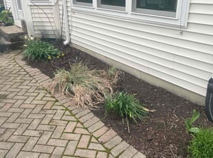 Leaf Removal by Jose Sanchez for Beverly J. in Aurora, IL