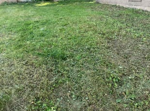 Cleanups by Samuel Taylor for Gurpreet G. in Milwaukee, WI