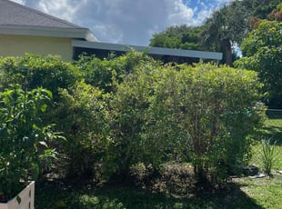Bush Trimming by Charles Walton for Thomas L. in Boynton Beach, FL
