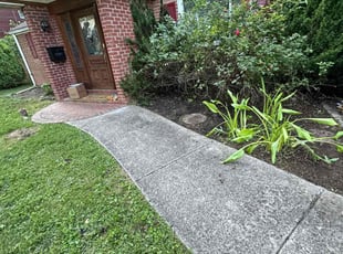 Weeding by Fidel Rodriguez for Amber B. in Falls Church, VA