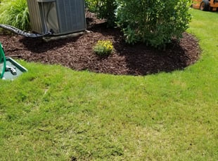 Mulching by David Fregeau for Beth C. in Charlotte, NC